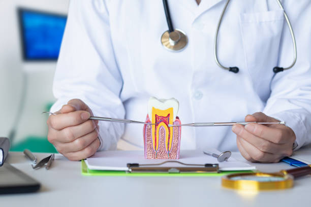 Best Urgent Dental Care for Toothache in Camden, TN